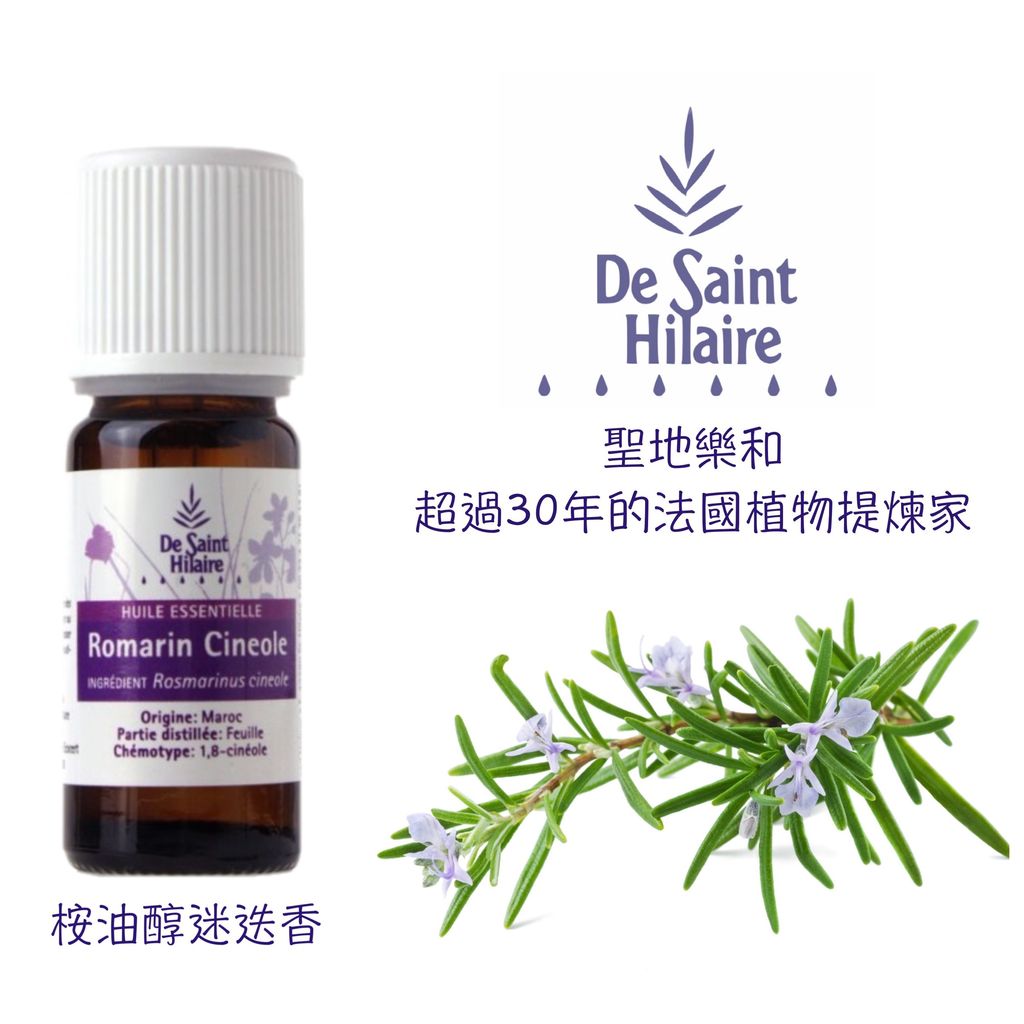 桉油醇迷迭香romarin Cin 聖地樂和de Saint Hilaire
