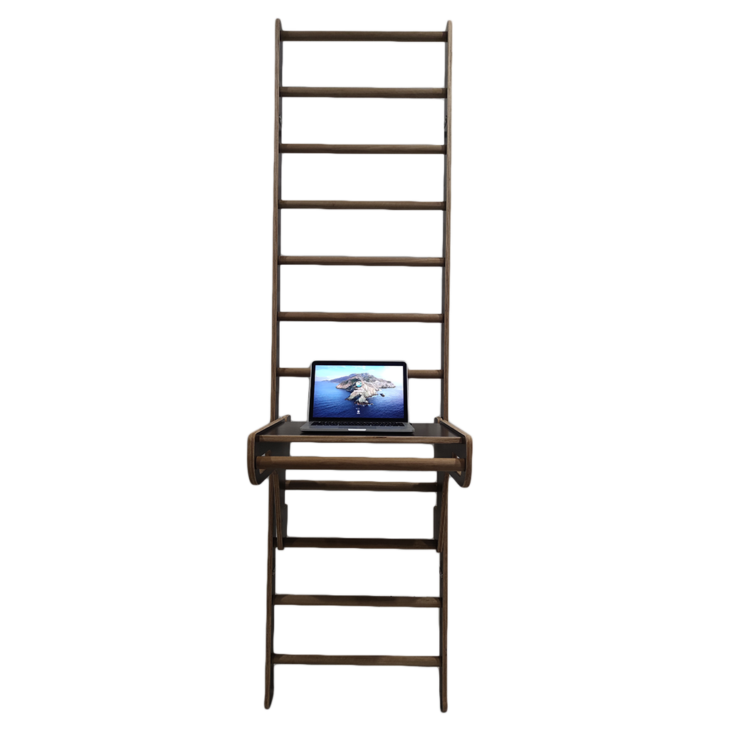 WALL LADDER LAPTOP.png