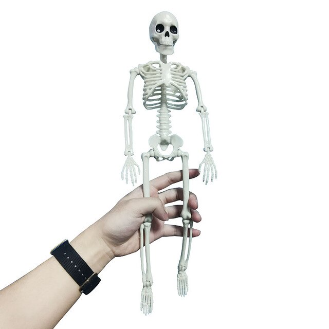 1-Pcs-Human-Or-Mermaid-Skeleton-People-Active-Model-Skeleto-Anatomy-Model-Medical-Learning-Halloween-Party.jpg_640x640.jpg