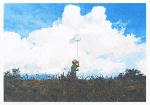 08抓昆蟲