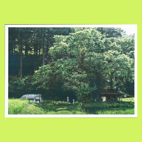 01大樹