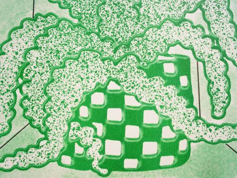Secret Riso Club - Plants -Vulnerabilty – Risograph Museum