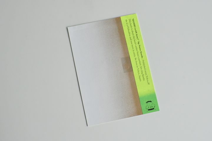 hsp029-2