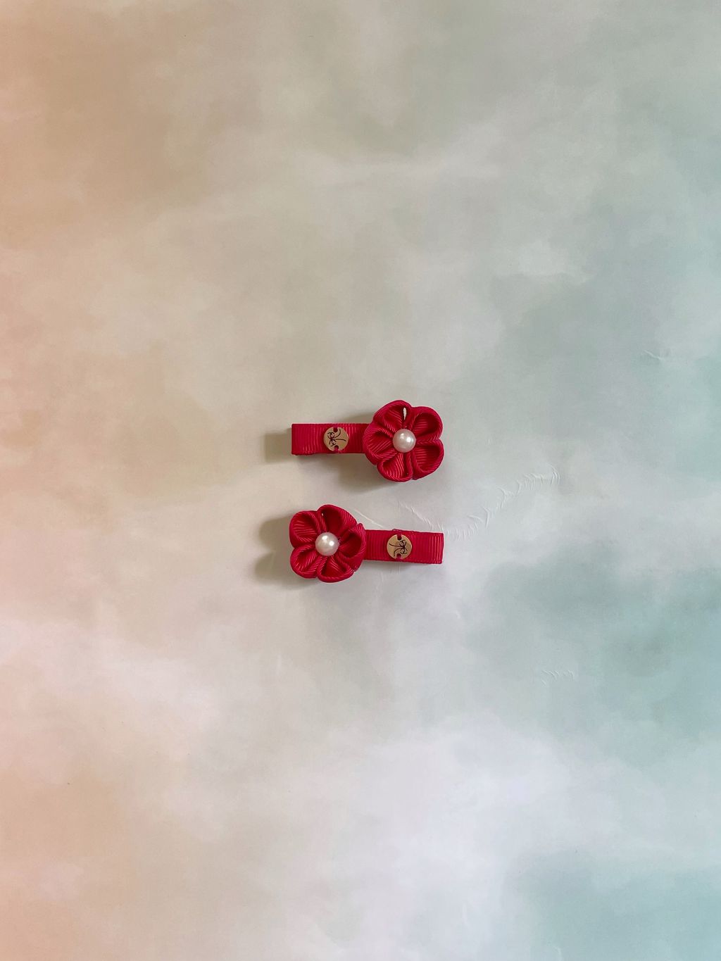 IMG_6145-1704942624745