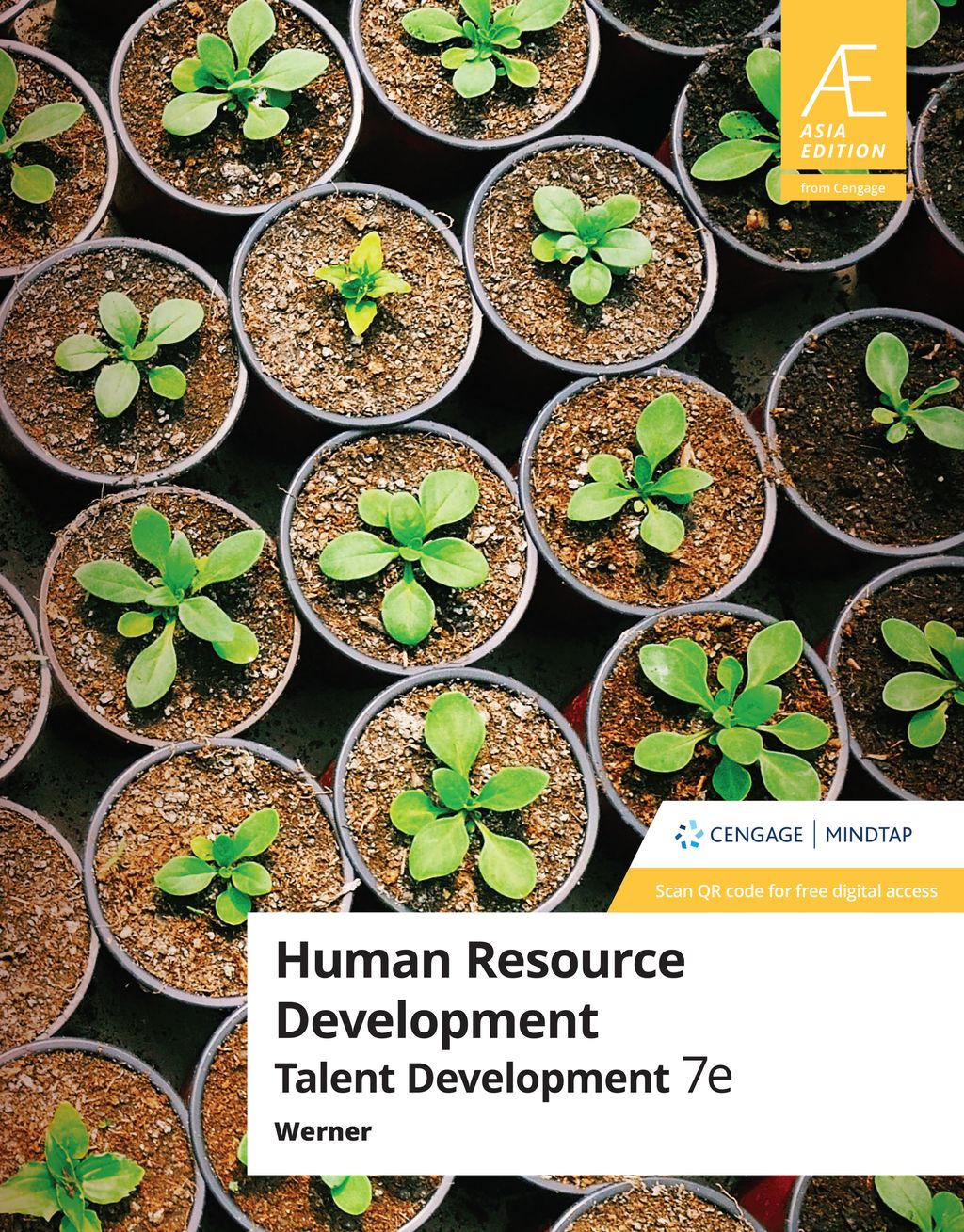 Human Resources Development Werner 7E.jpg