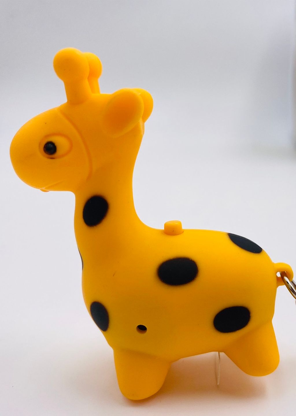 S__1728765.jpg