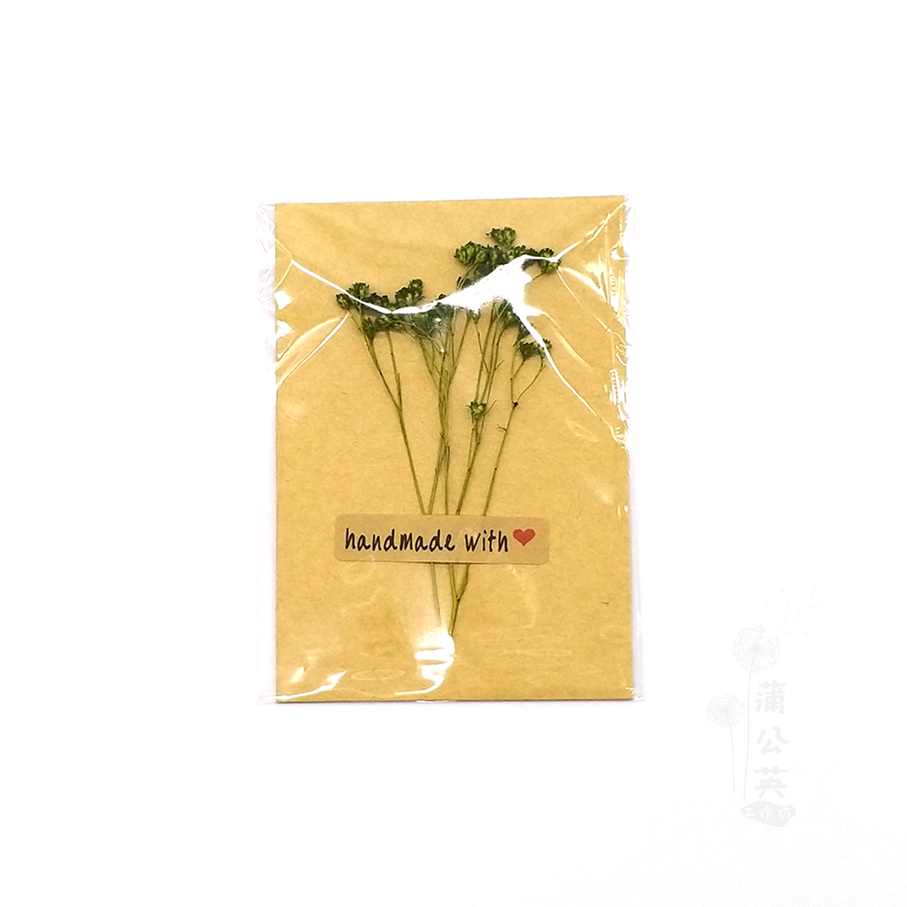 蒲公英工作坊 清新小卡片 乾燥花小卡片 含信封及封口貼紙 買10送1 送3 可混搭