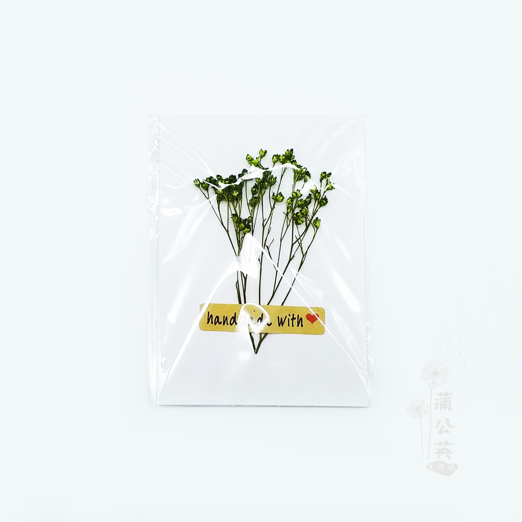 蒲公英工作坊 清新小卡片 乾燥花小卡片 含信封及封口貼紙 買10送1 送3 可混搭