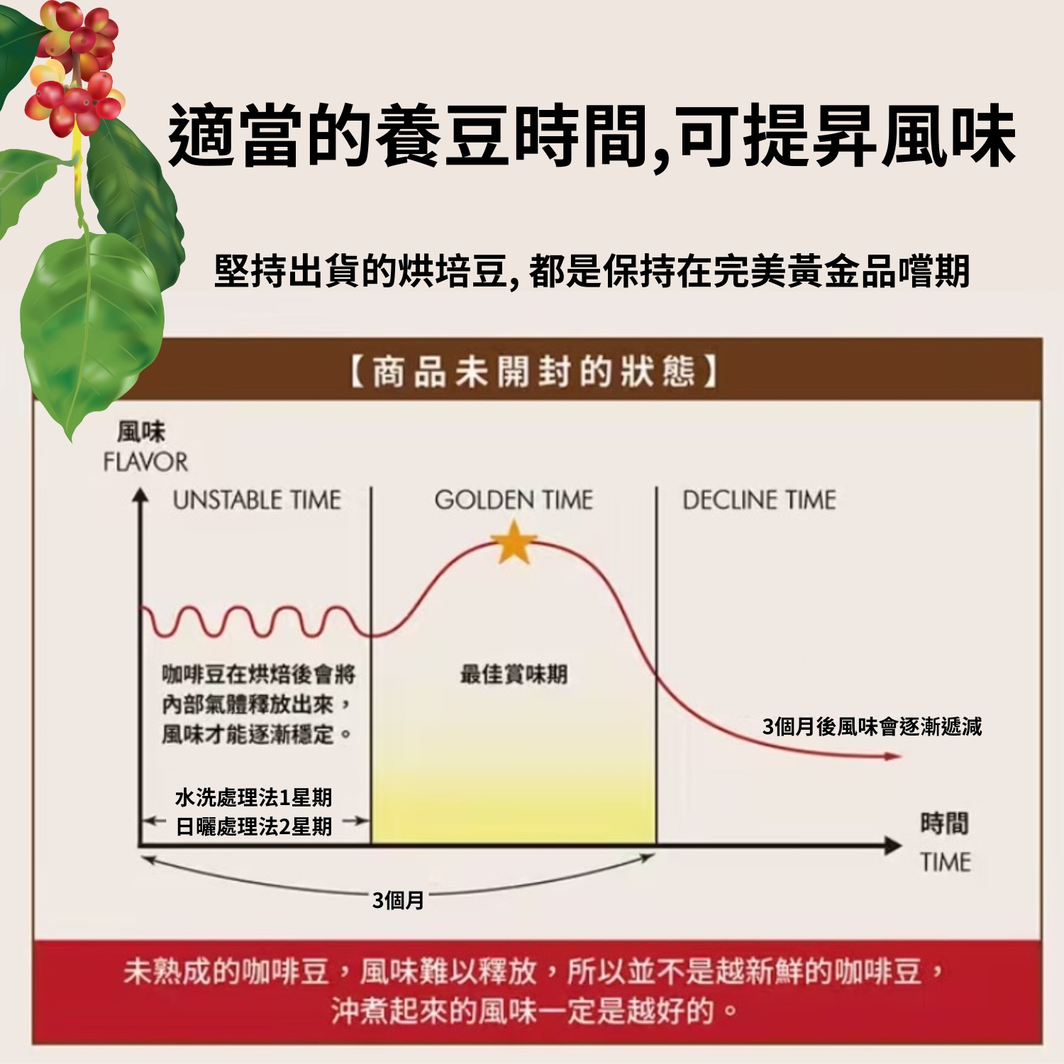 CHINESE VER