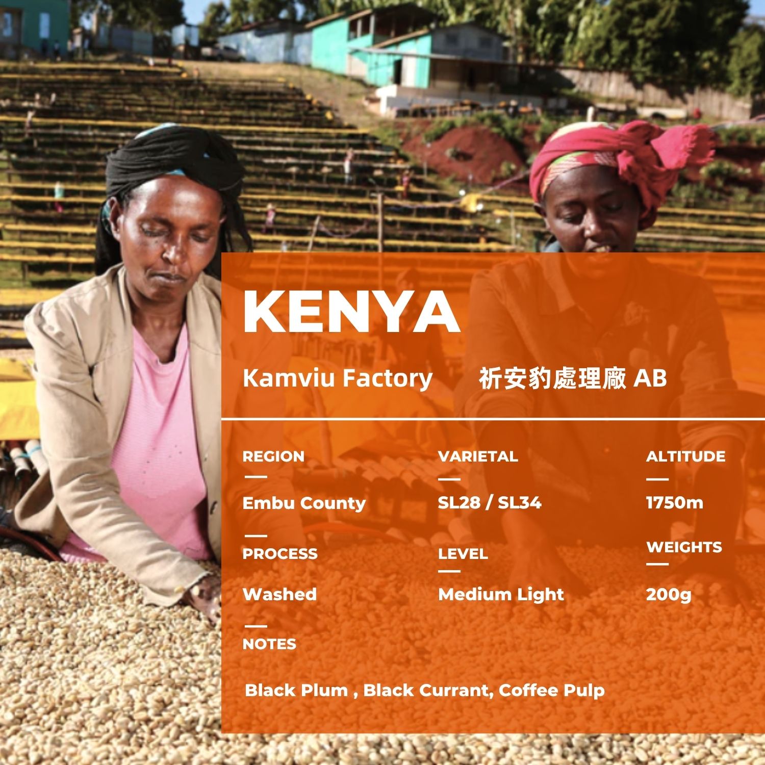 kenya 祈安豹