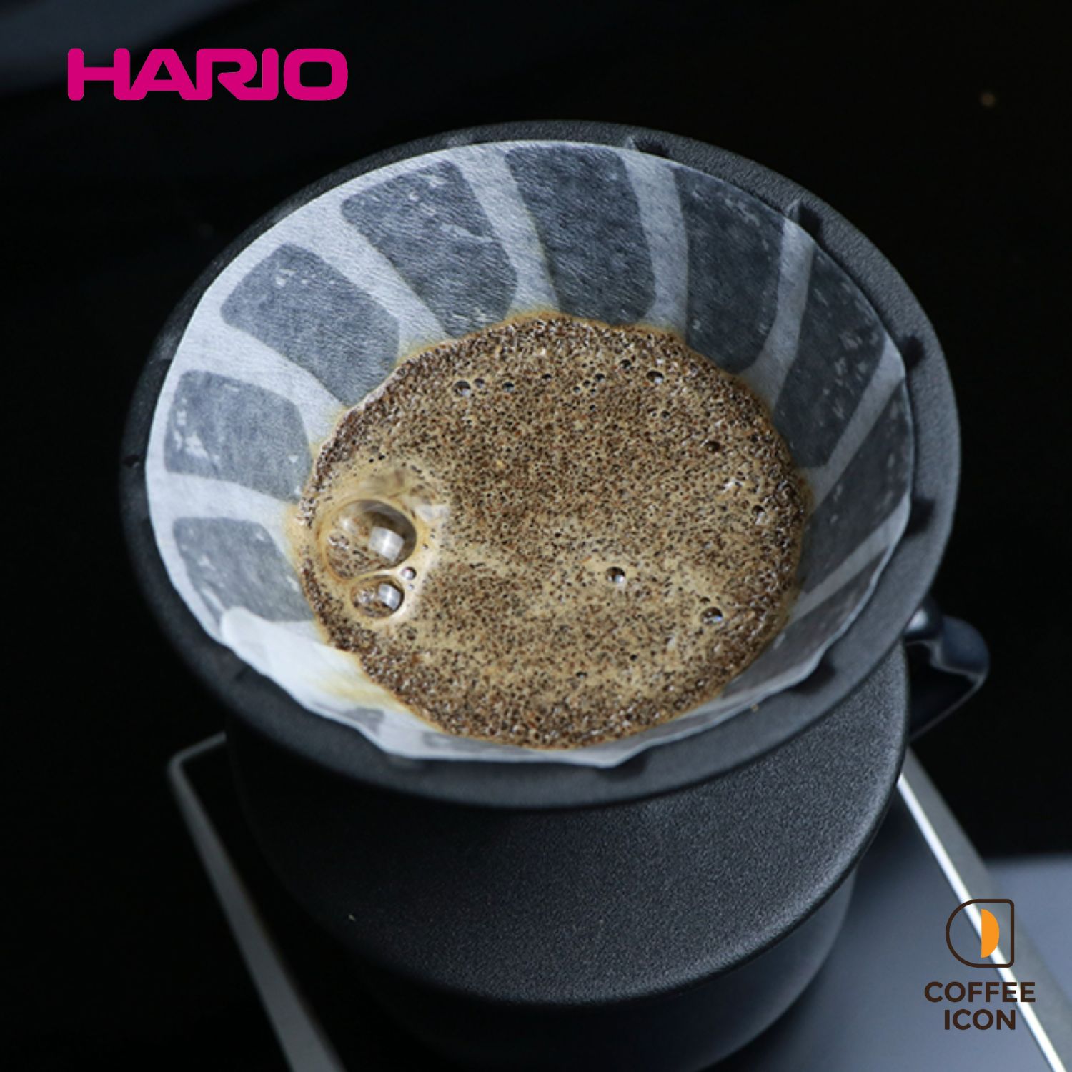 Hario Alpha Switch  (4)