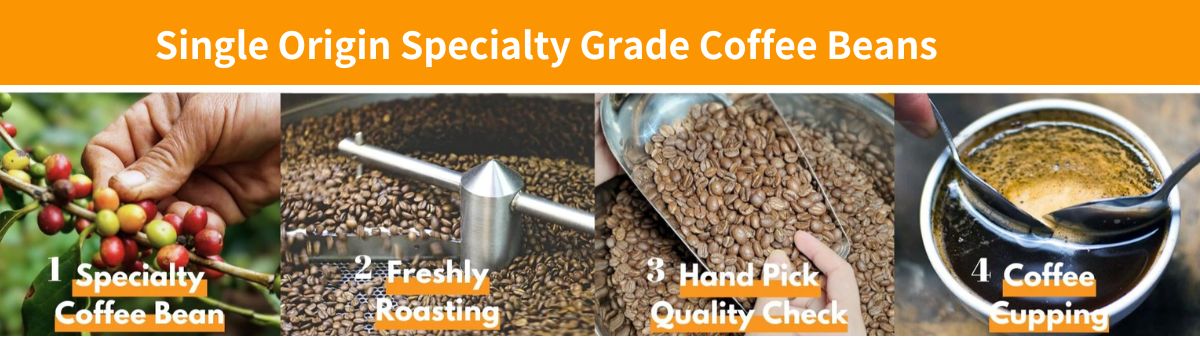 The mountains endow the coffee beans with a delicate and profound soul, offering a taste that speaks of time and the land. 「高山賦予了咖啡豆細緻而深邃的靈魂，細品時能感受時間與土地的對話。」 (5)