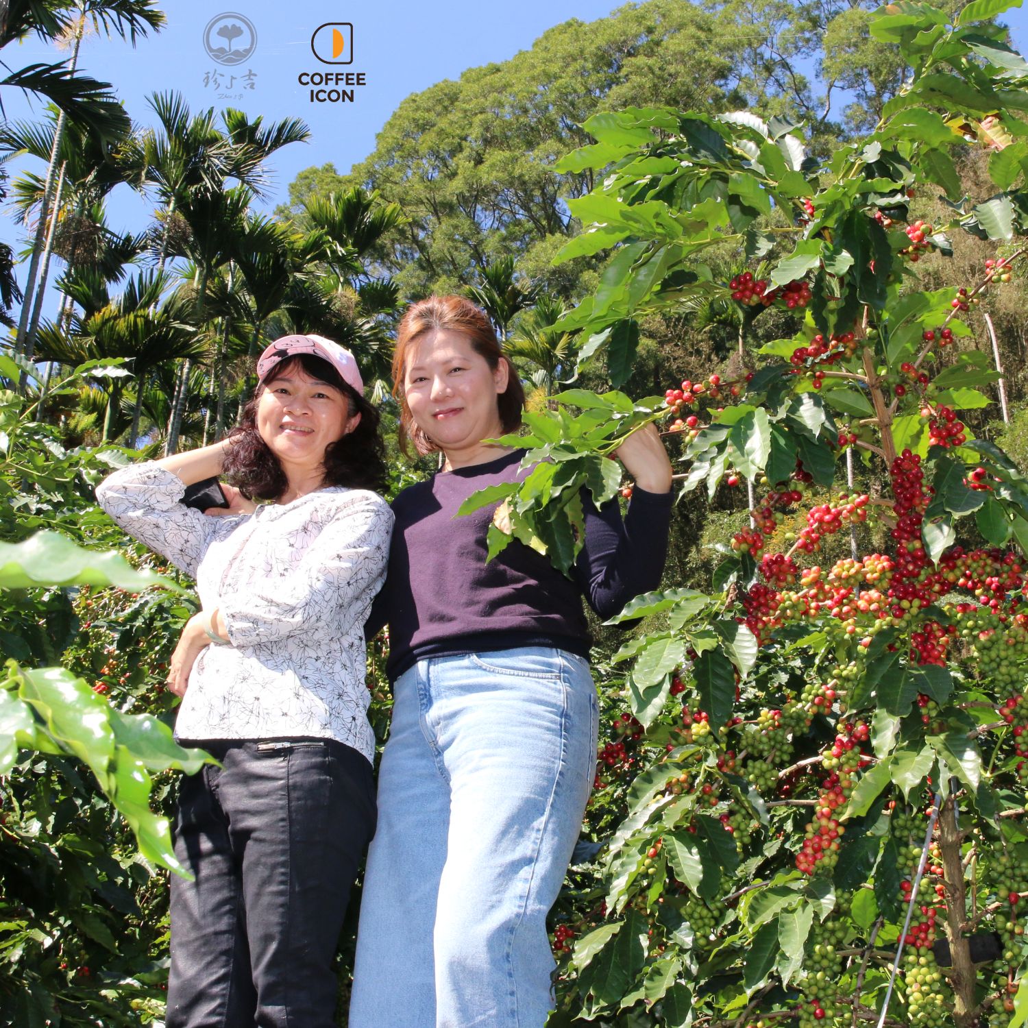 台灣阿里山 (15)