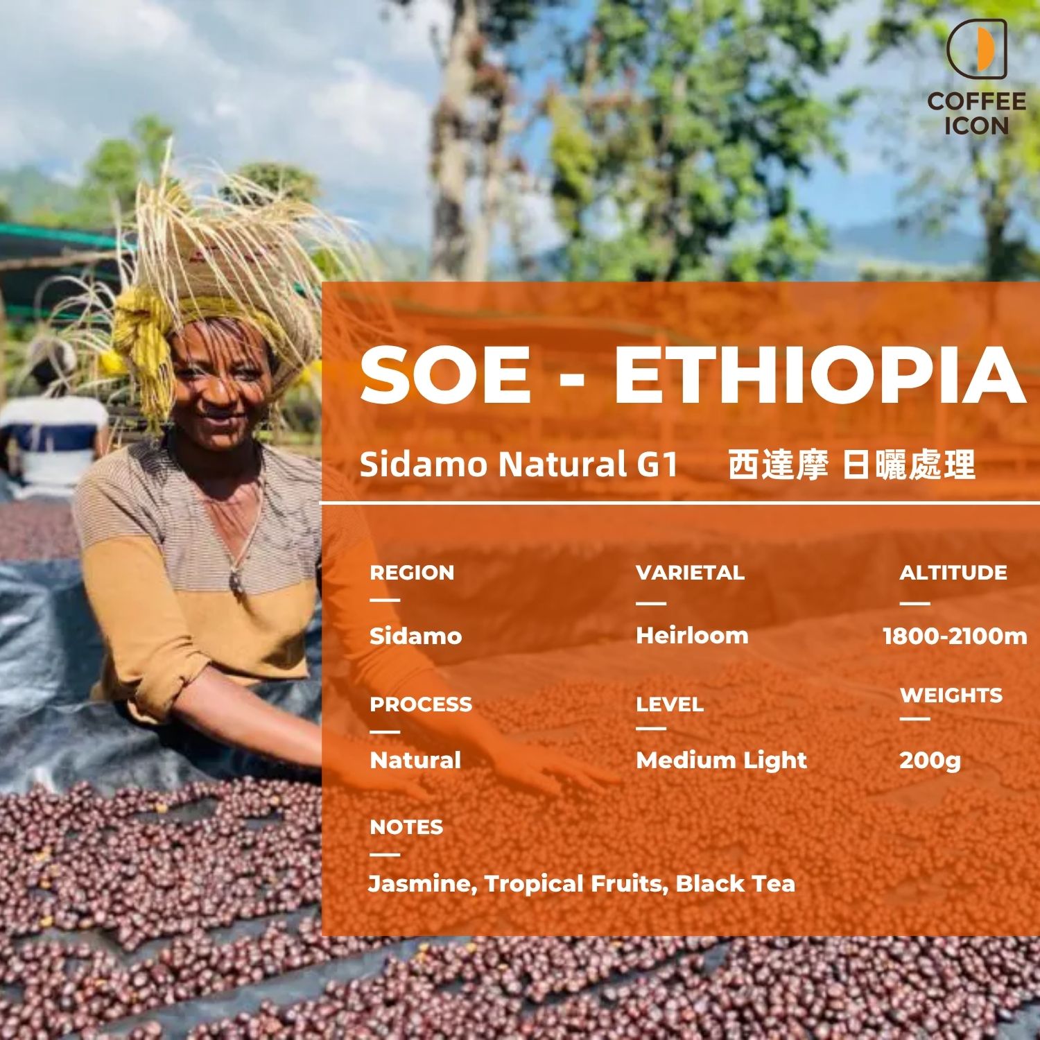 SOE ethoipia sidamo natrual 