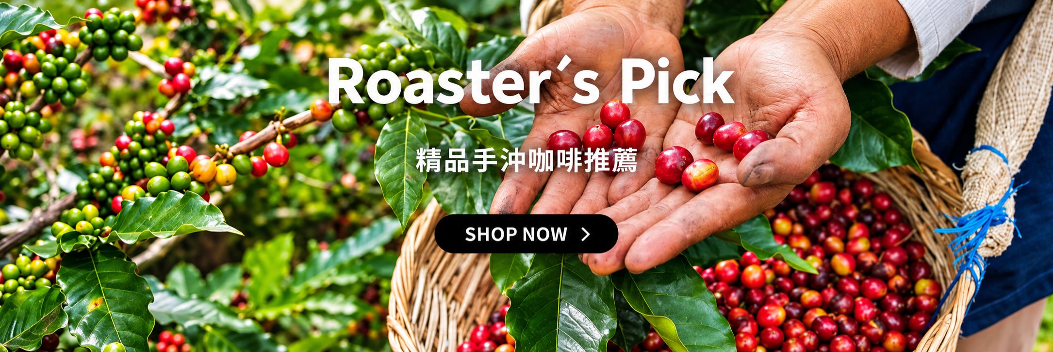shop now 豆