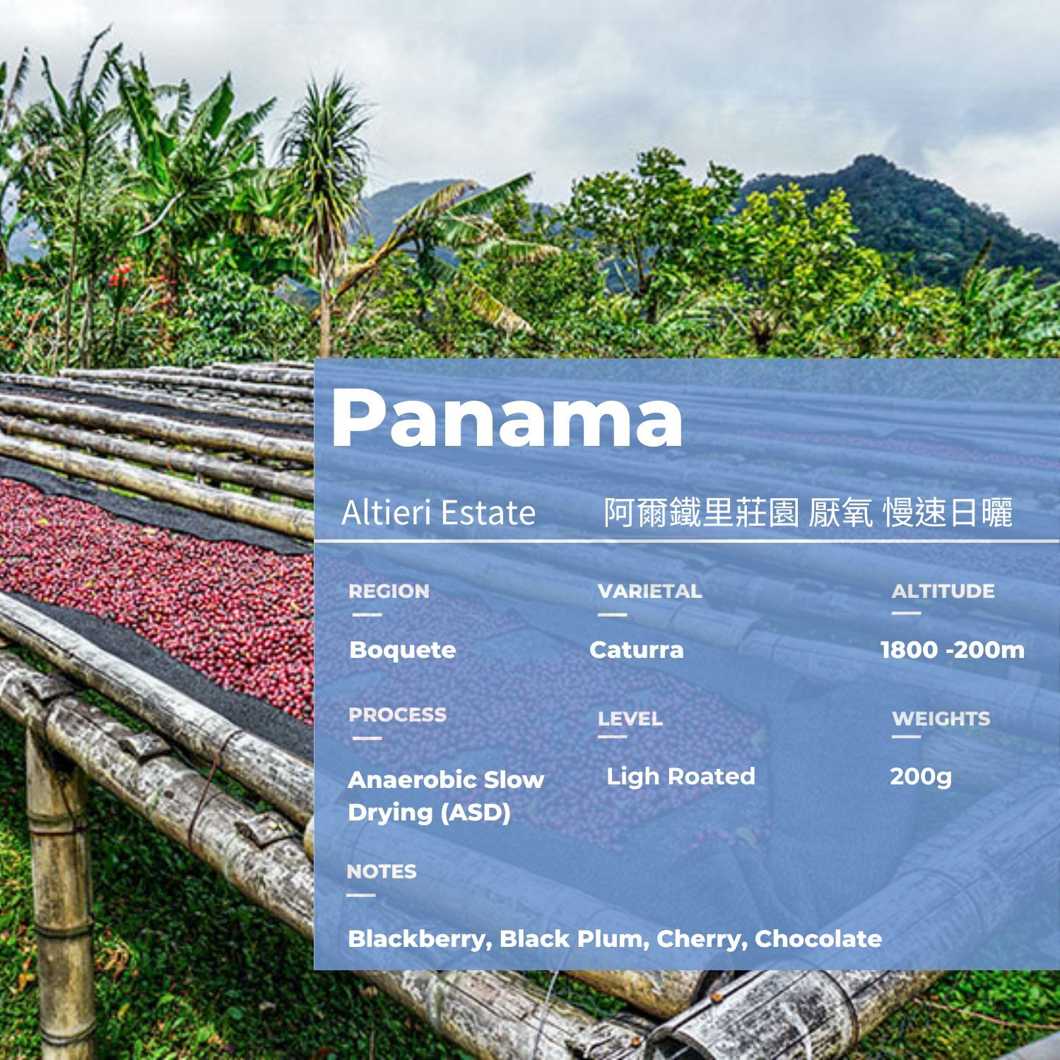 panama ASD 
