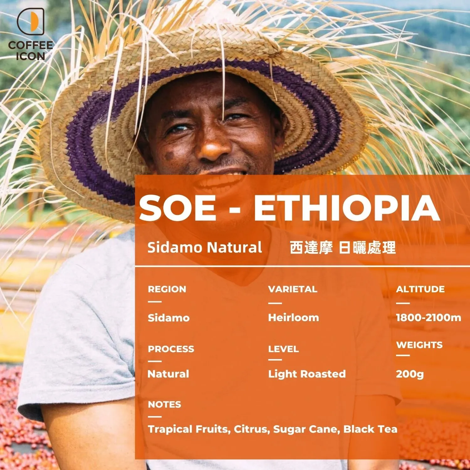 SOE 