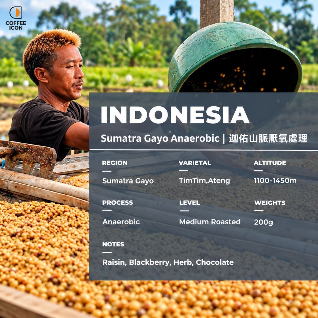 gayo 厭氧