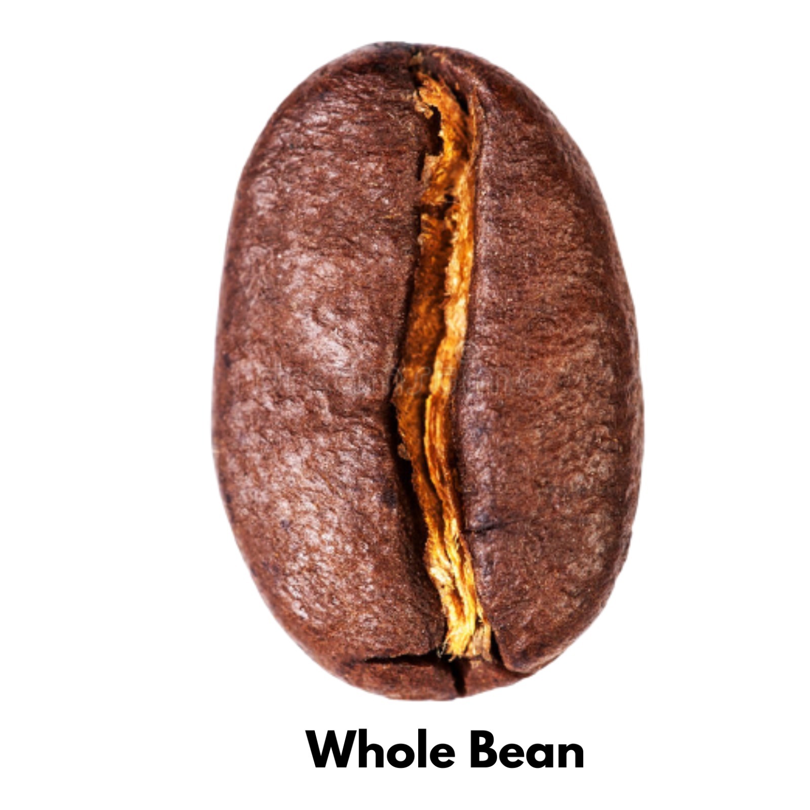whole bean