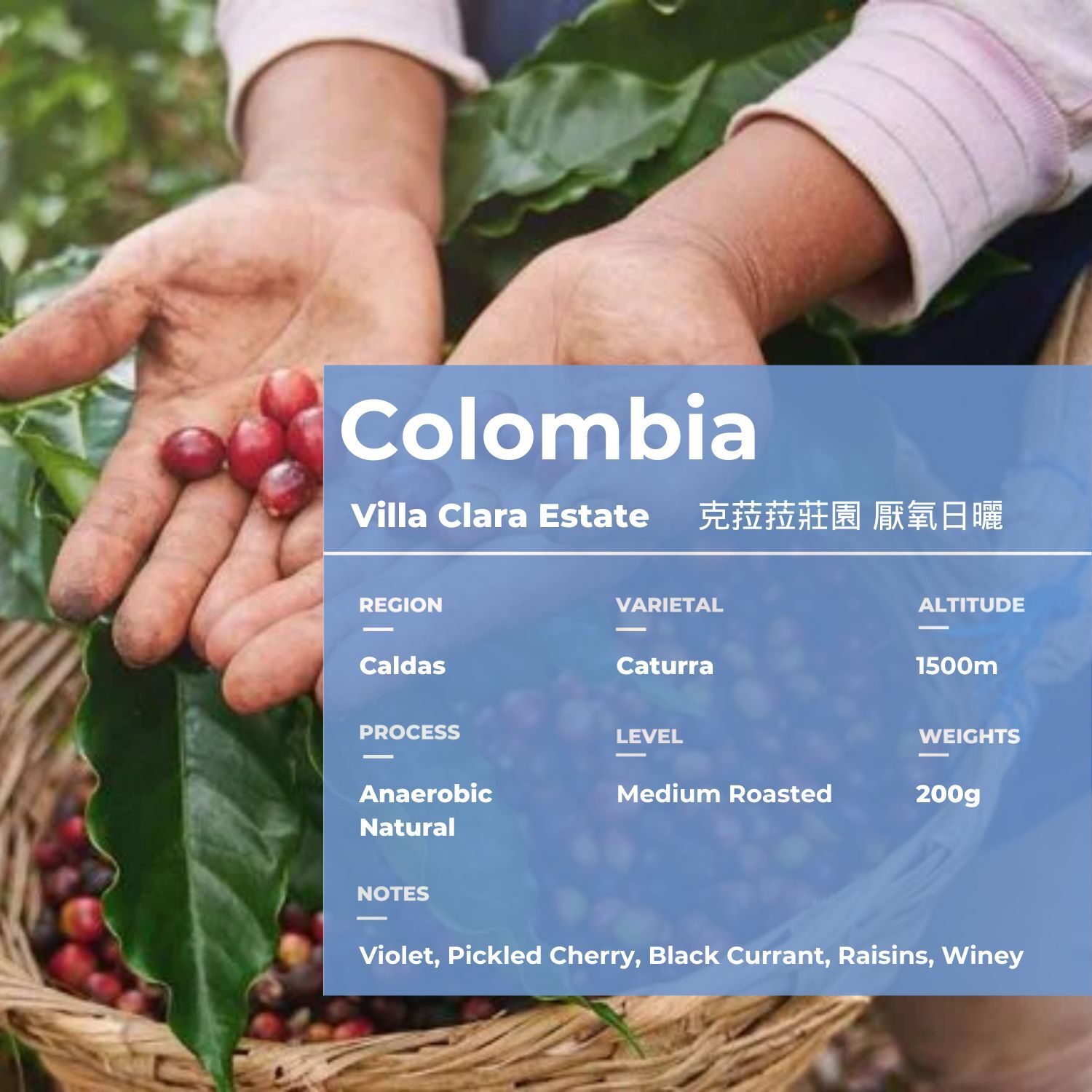 克菈菈厭氧日曬