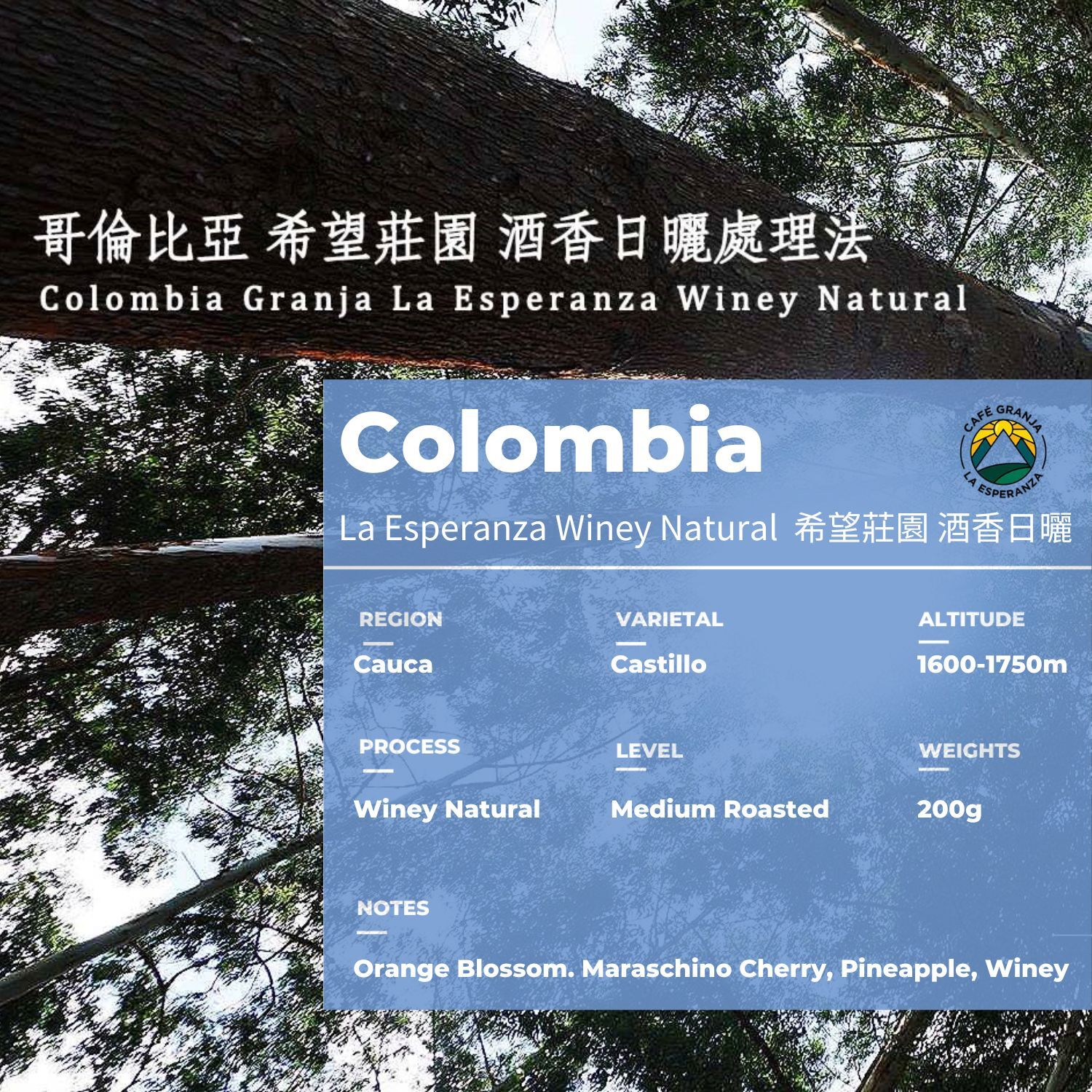 希望酒香日曬中培