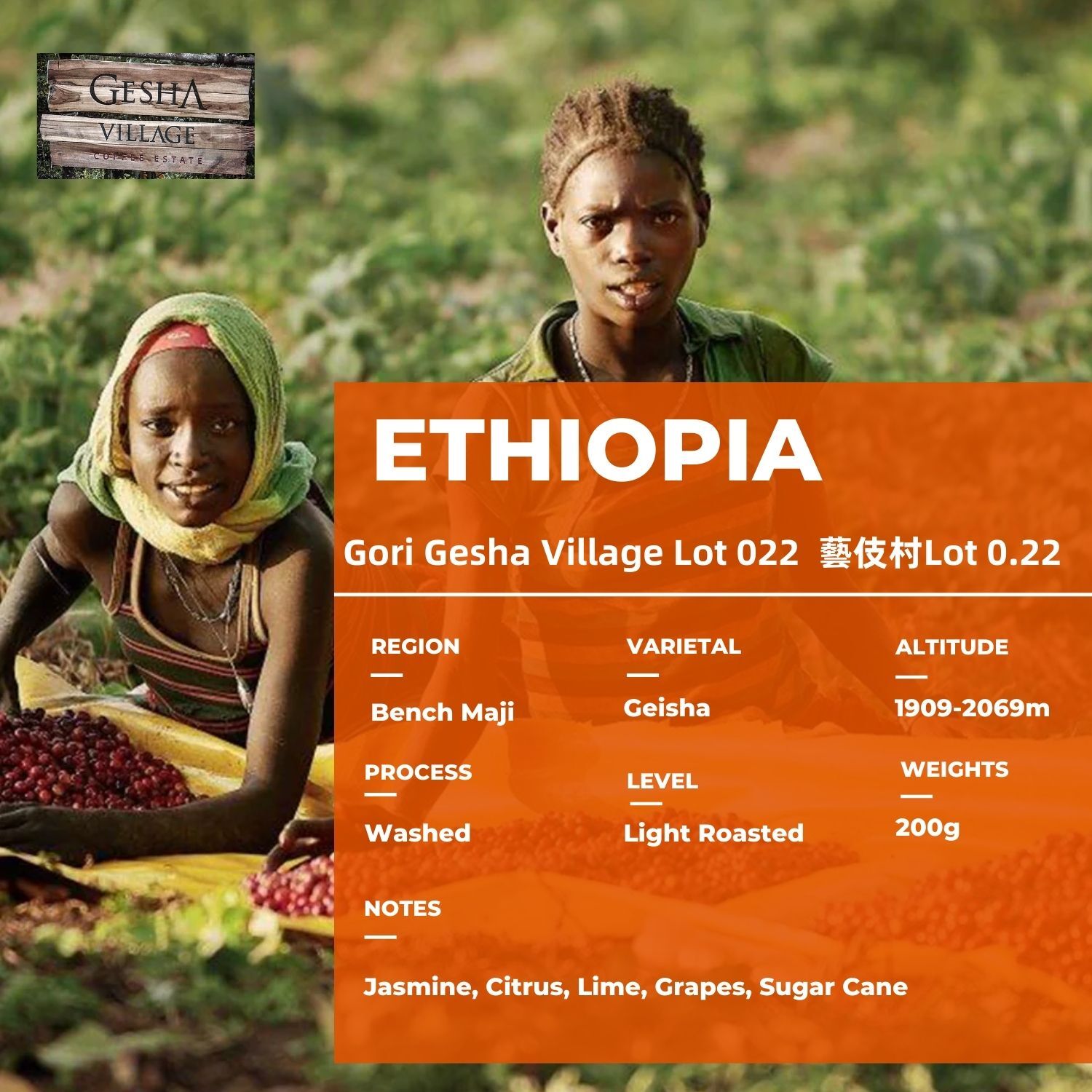 geisha village Lot.22