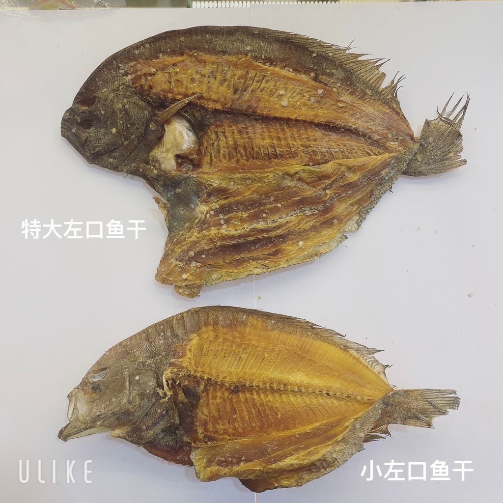 香港左口鱼 大地鱼 特大 信亨海味店 Xin Hang Trading Sdn Bhd 香港左口鱼 大地鱼 特大 信亨海味店 Xin Hang Trading Sdn Bhd