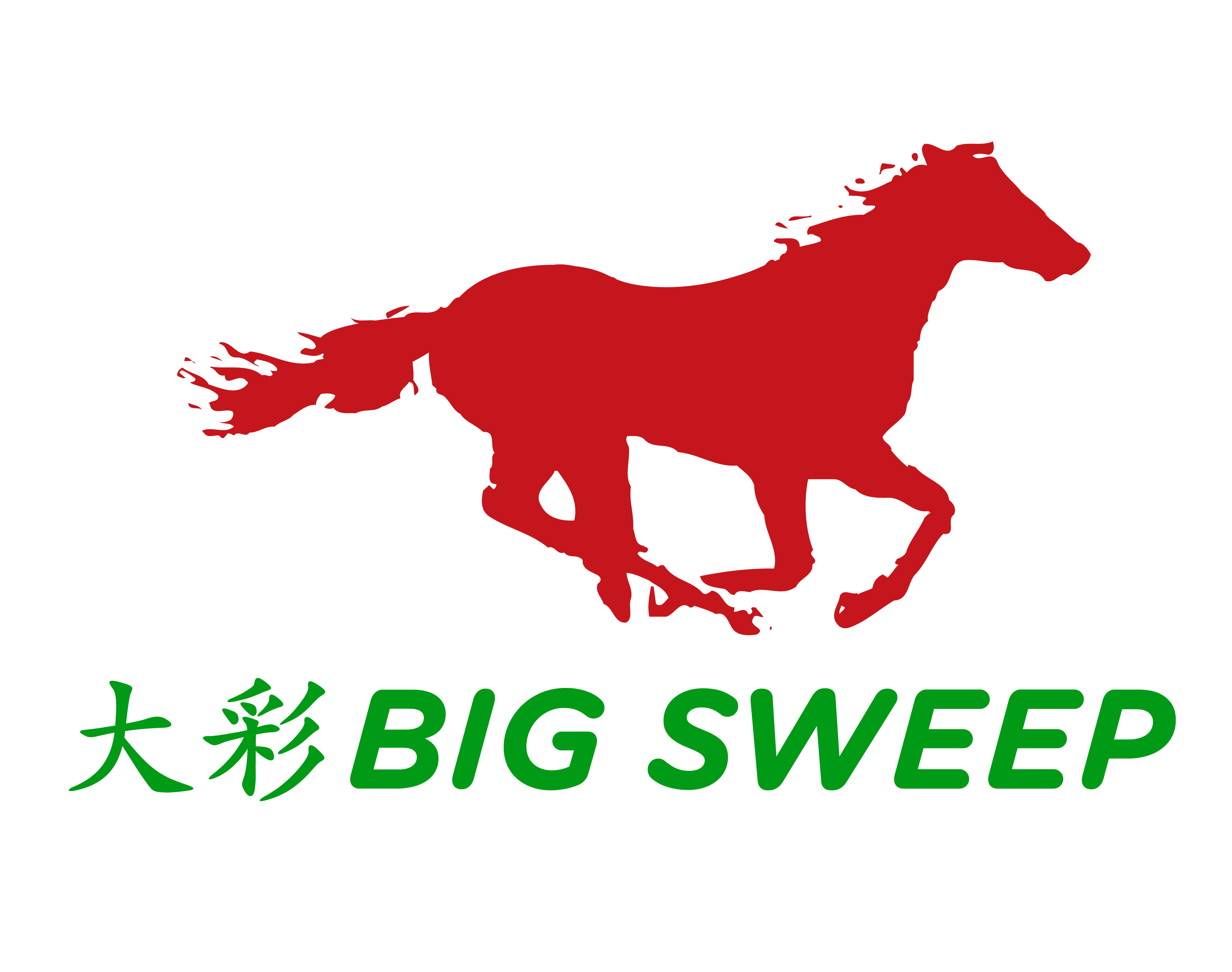 Big Sweep Store