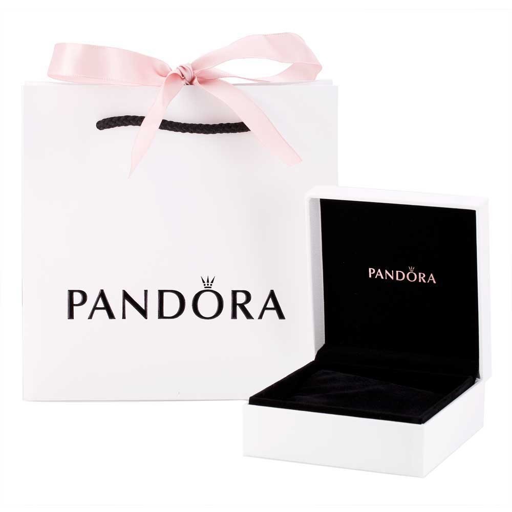 pandora_bracelet_packaging_1__233.jpg
