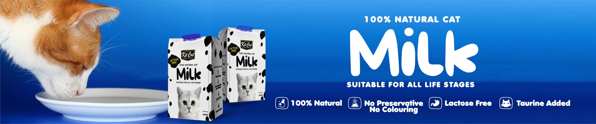 Kit-Cat-Milk-200ml-2048x427.jpg