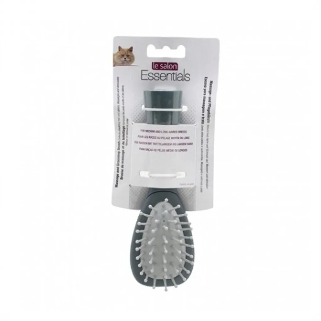 50411_lsess_massgbrush_cat_pkgf_int.jpg