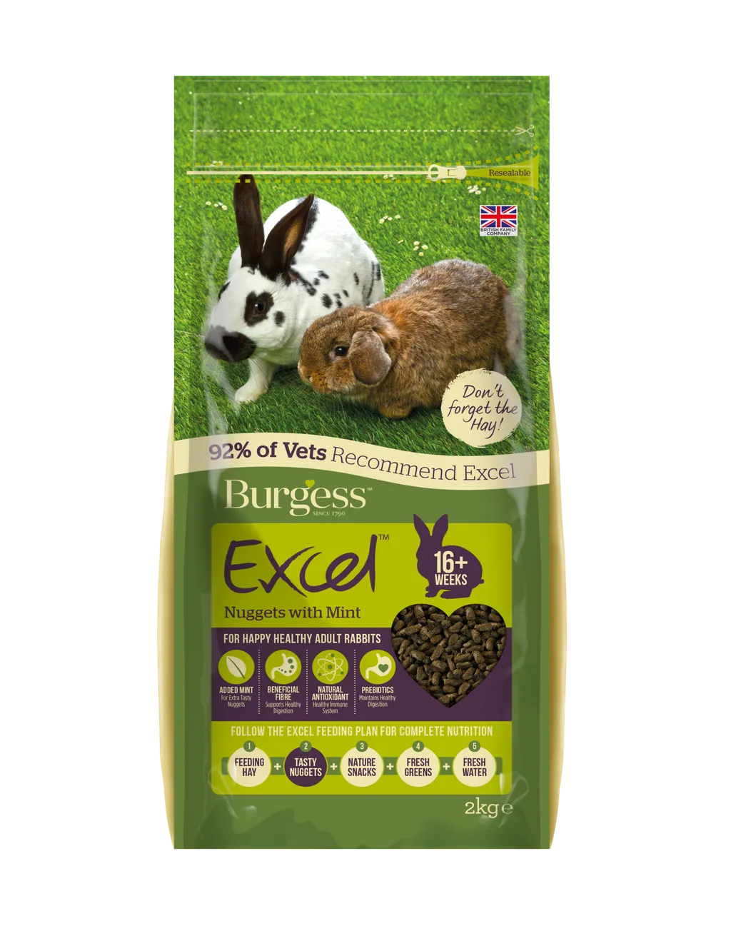 Excel_Rabbit_Mint B11.png