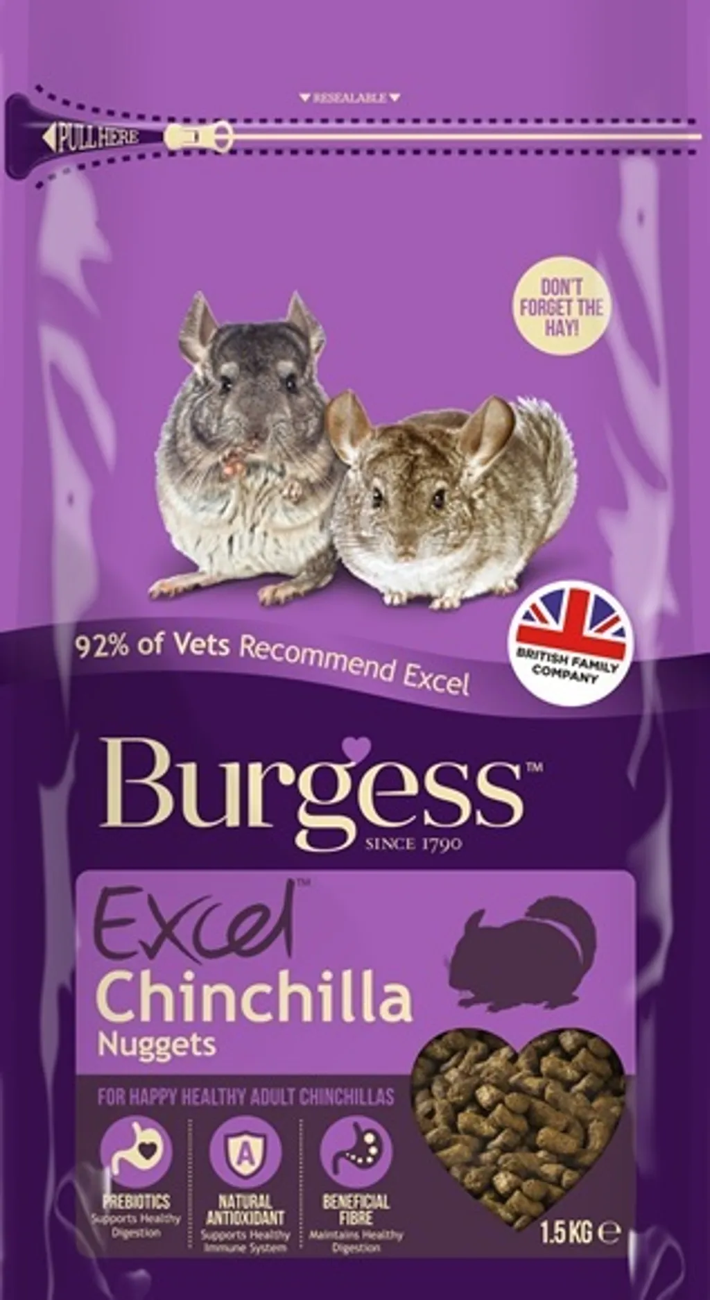 Excel Chinchilla B31.jpg