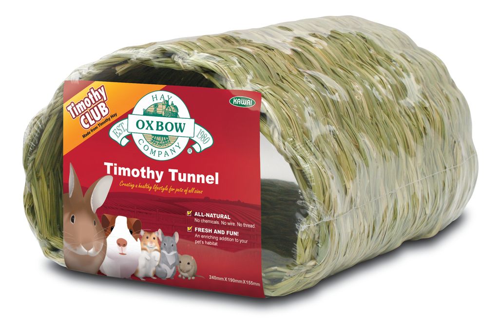 O51 Timothy Tunnel.jpg