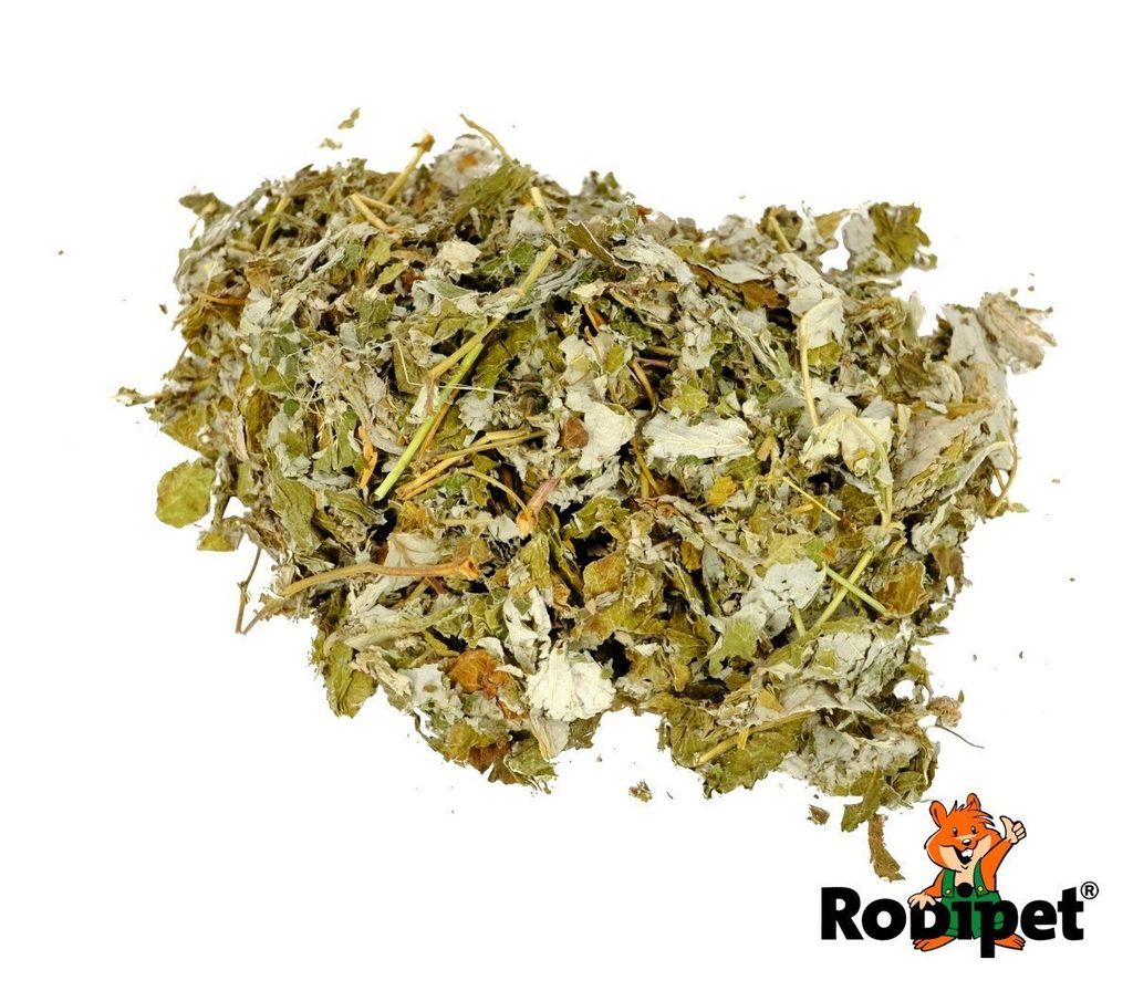 Rodipet_Nature_s_Treasures_Rasperry_Leaves_80g_2_1024x1024_2x_985dda5e-757b-4389-bc5b-7107797068f8_1200x1200.jpg