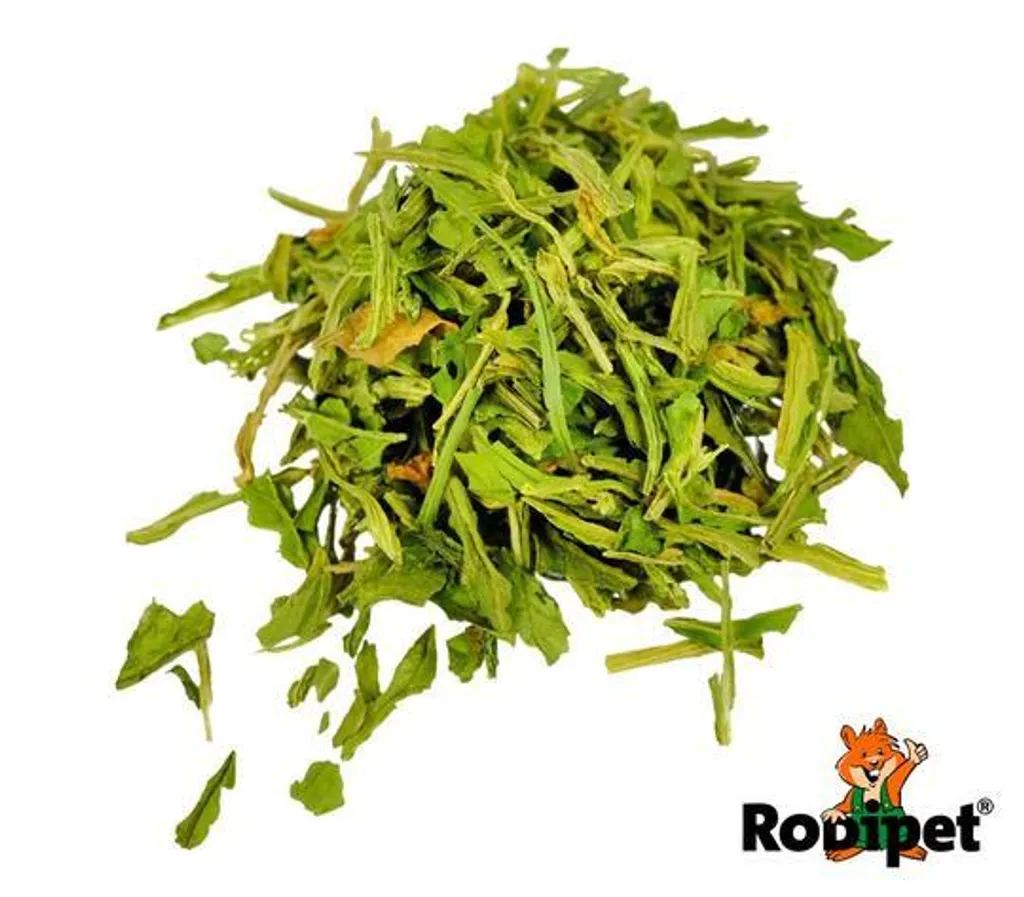 Rodipet_Nature_s_Treasures_Spinach_Leaves_150g_2_540x.jpg