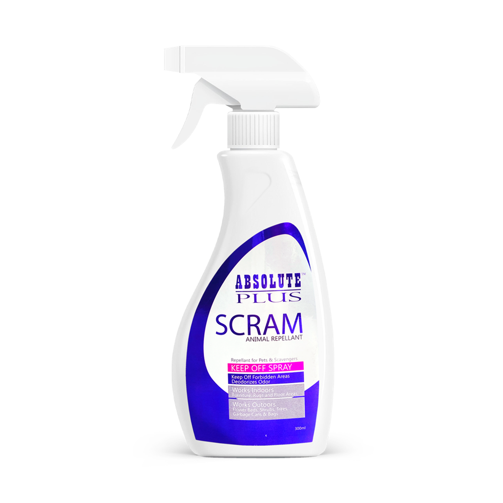 AP-1914_Absolute Scram.png