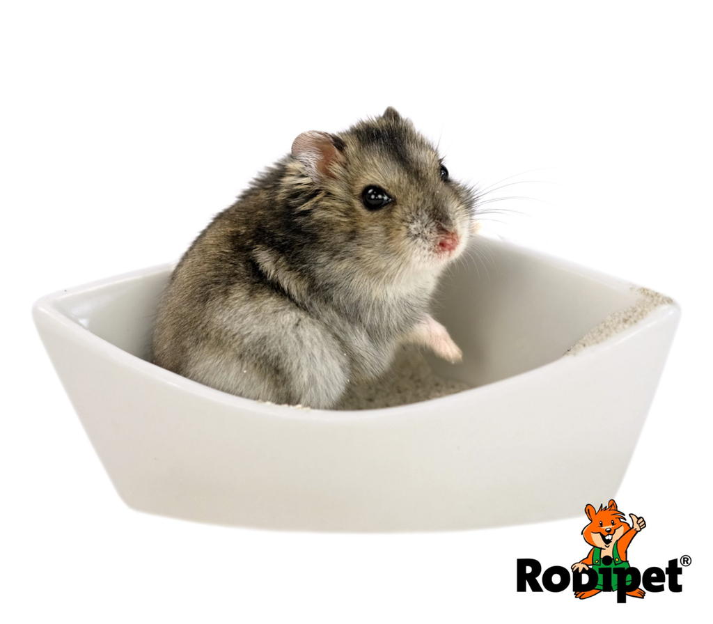 image_ff034da0-6490-4c7c-813c-e90eae8373e9_1200x1200.png