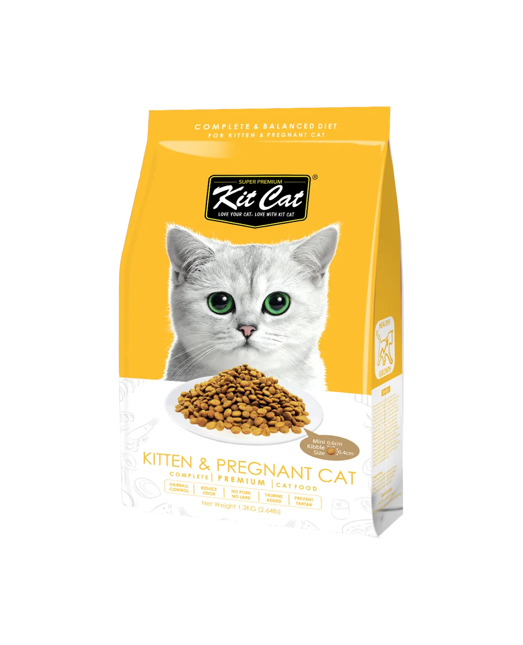 kitten_.png