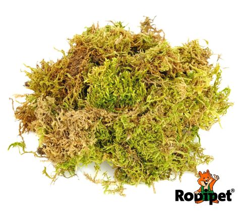 Rodipet_Snugglemoss_50_g_1024x1024@2x.jpg