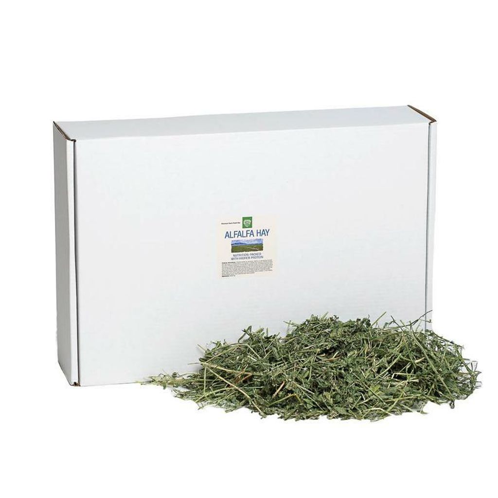 hay_alfalfa_10lb_standing_front_web_800x.jpg