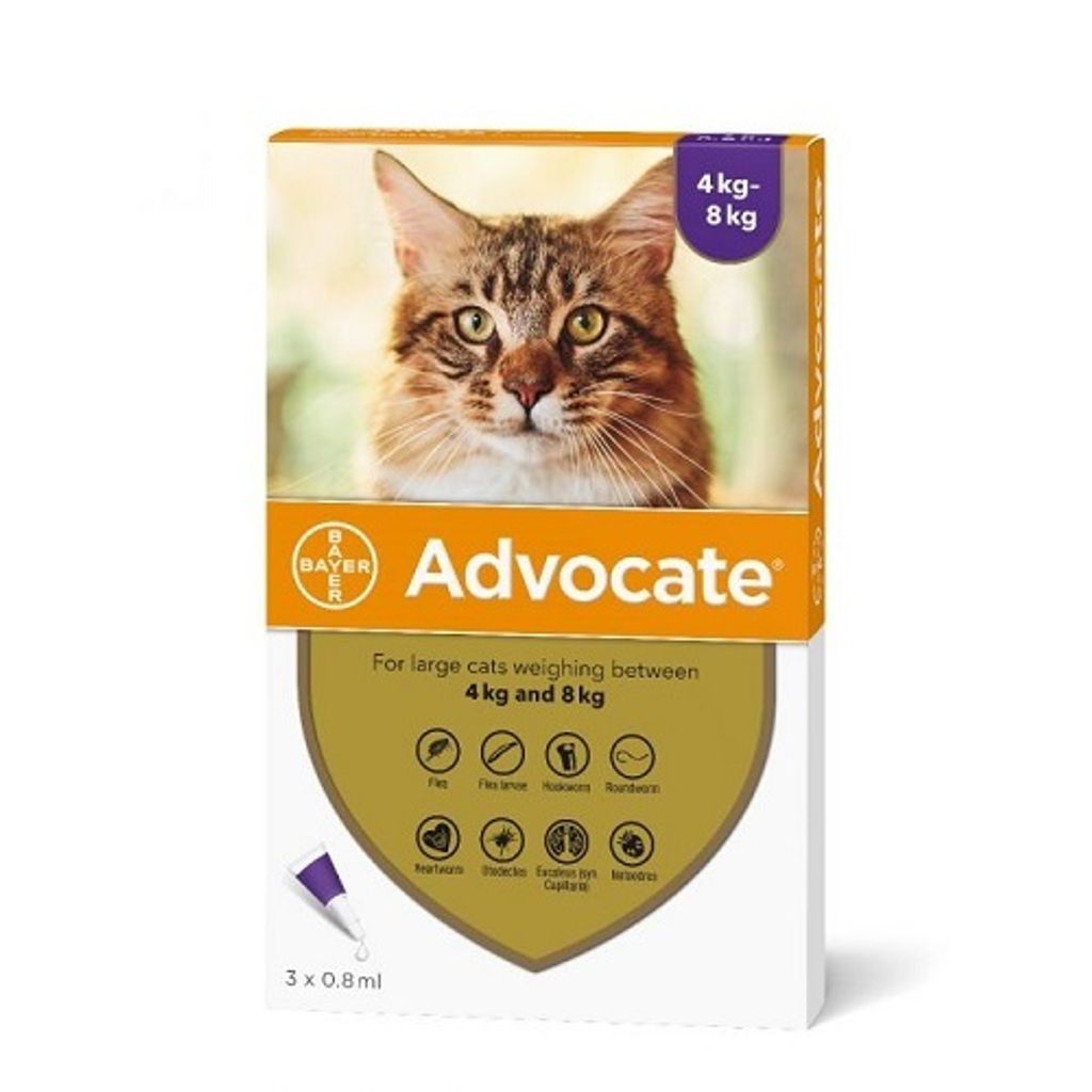 advocate-large-cat-4kg-and-above-sgpetshop.jpg