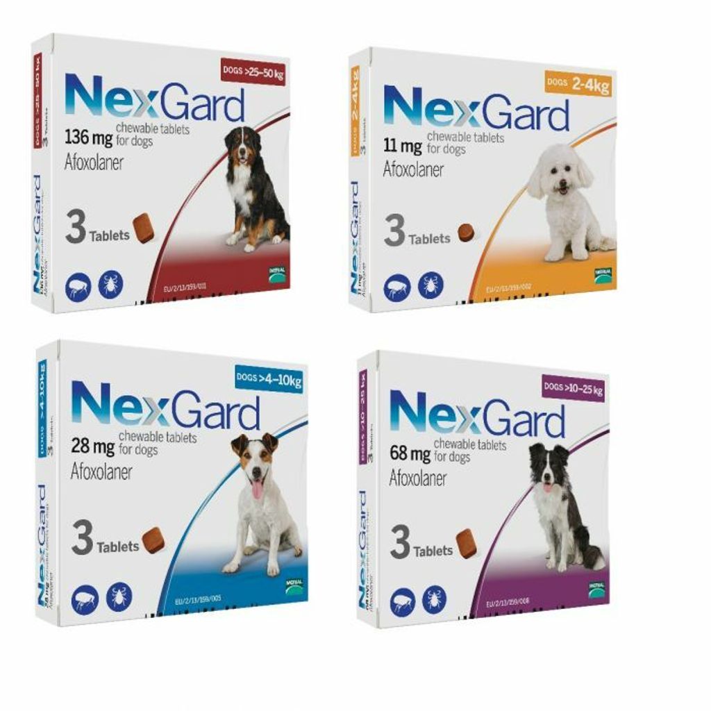 Can Dogs Wear Flea Collars And Take Nexgard Chewables