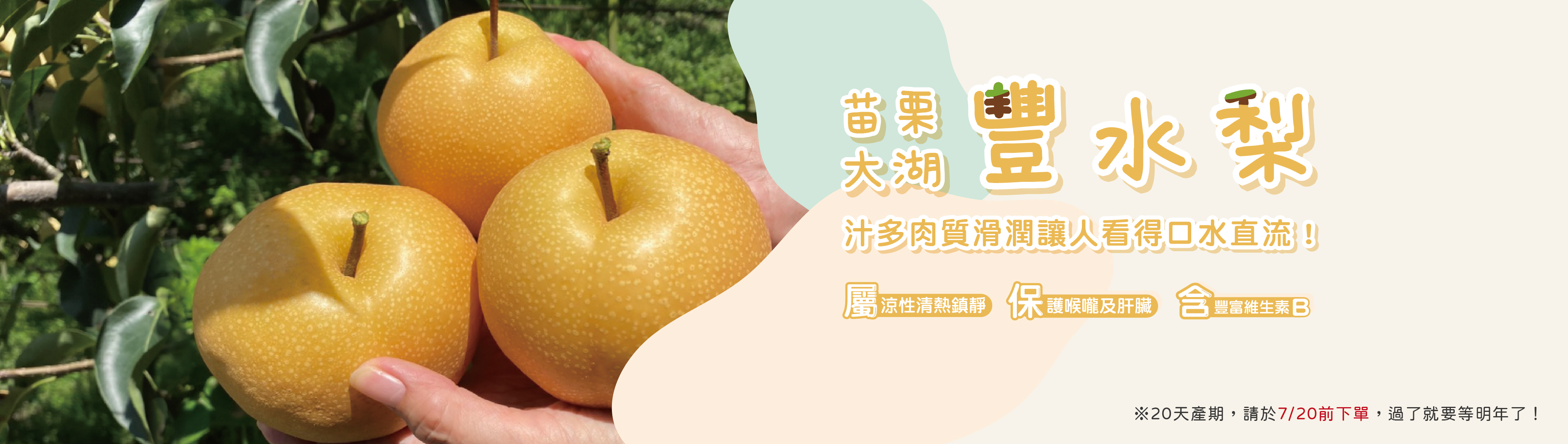 鮮大姊‧Obasan | 