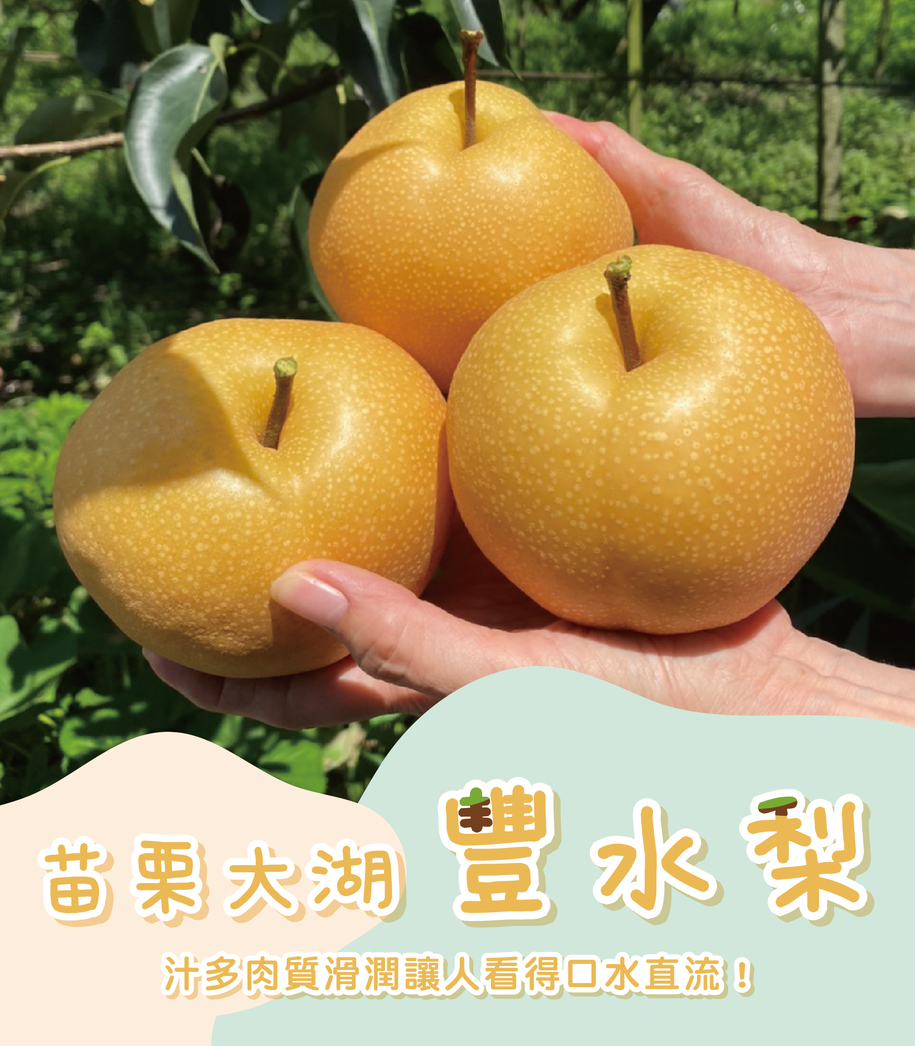 鮮大姊‧Obasan | 
