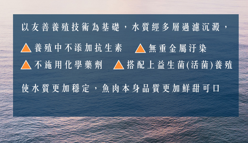 鱸魚水餃_03.jpg