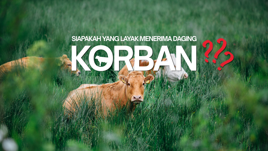 Siapakah yang Layak Menerima Daging Korban?