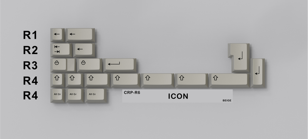 CRP-R6-ICON