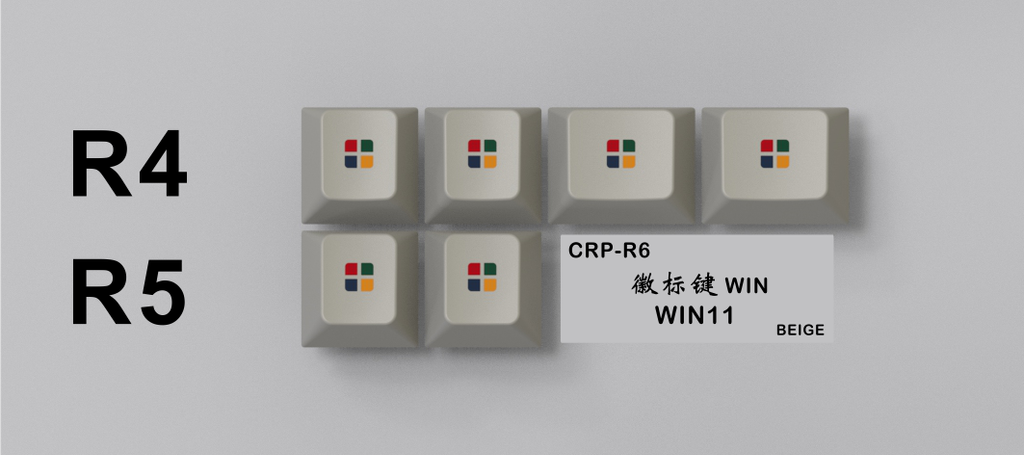 CRP-R6-WIN11