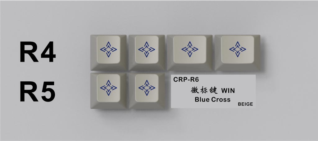 CRP-R6-WIN-Blue-Cross